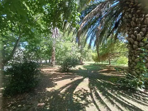 Terreno en Venta de 1243,0 m2