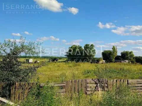 Importante Campo en Venta  146ha  junto a Colonia de Chacra