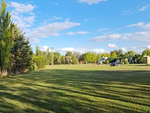 Haras Del Sol, 100