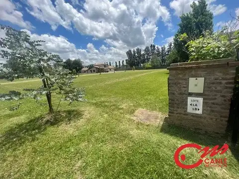 Haras Del Sol, 100