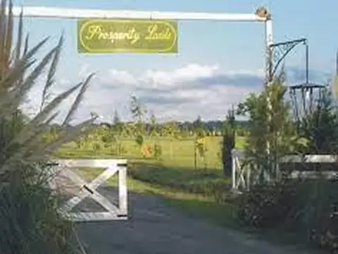 Prosperity Lands  Roldan