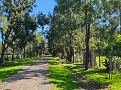 Terreno en Roldán