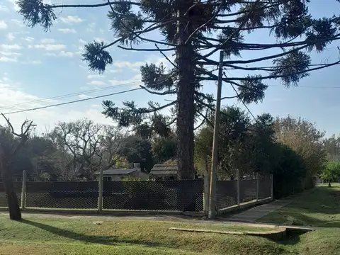 SAN LORENZO Y BELGRANO 100