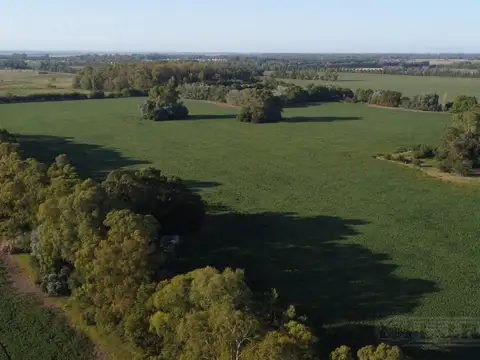 Terreno - Countries/B.Cerrado (Campana)