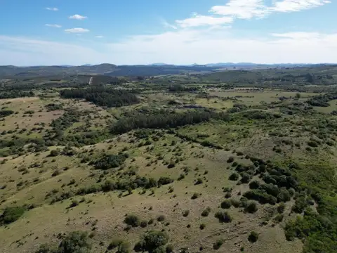 Cno. Zanja del Tigre