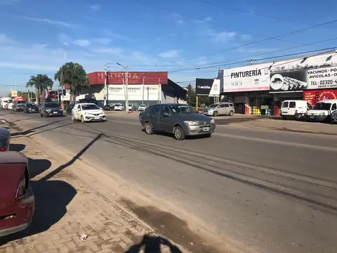 Ruta 26 y las Rosas 100
