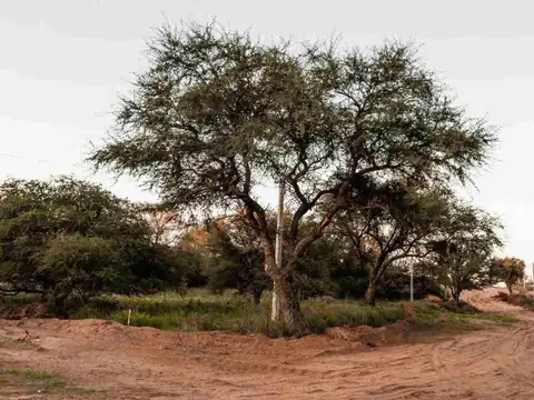 Terreno en Venta de 950,0 m2