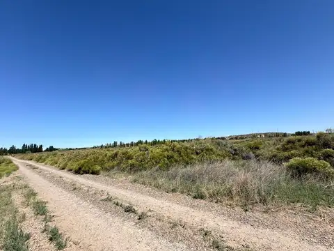 Terreno en Venta en Plottier, USD 13.000