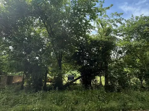 Terreno Comercial /Residencial Sobre Calle Florida, Del Viso