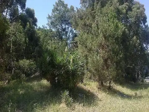 Terreno en Venta de 630,0 m2