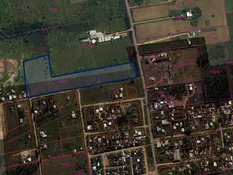 Venta de terreno 2Ha 4.293m sobre Ruta 75 Pando