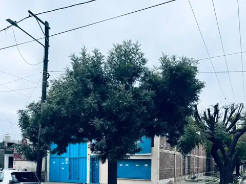 Pablo Neruda 100