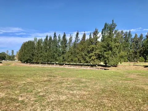 Km 47 Colectora Norte