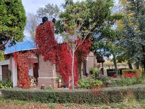 Chacra de 12 Hectareas en Venta ALLEN