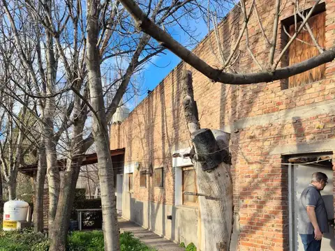 Chacra de 12 Hectareas en Venta ALLEN