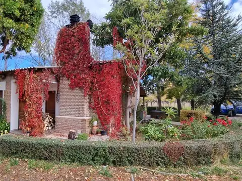 Chacra de 12 Hectareas en Venta ALLEN