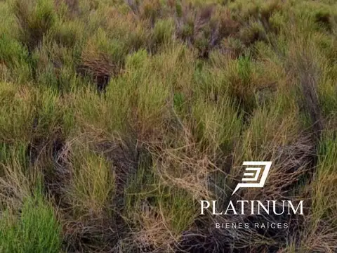 Terreno en Venta 30  mts Frente