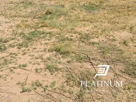 Terreno en Venta en San Carlos, USD 5.500