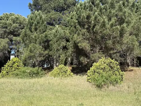 Terreno en Venta de 1000,0 m2