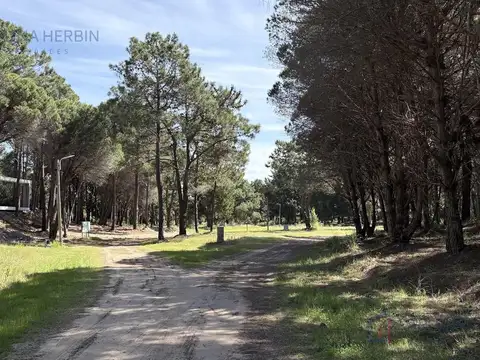 Terreno en Costa Del Este