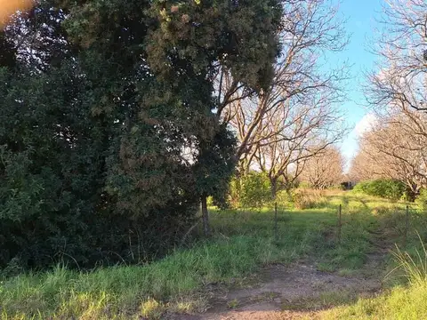 24 has . 300mts Sobre R9, a 700M2 de la ent ppal  S.Martin