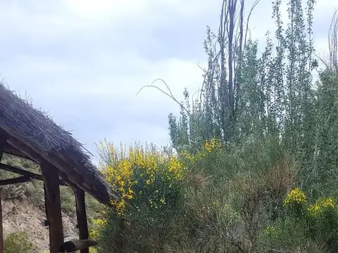 Ruta Provincial 89 100