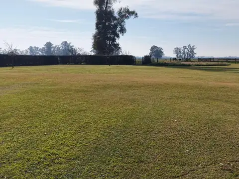 Haras en Luján