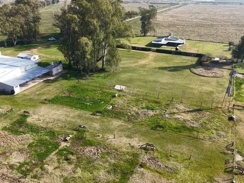 Haras en Luján