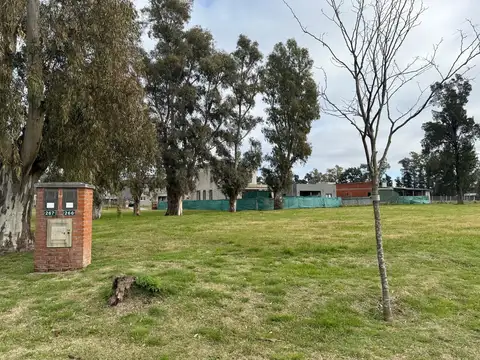 BARRIO SANTO TOMAS PILAR