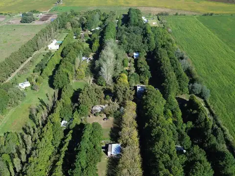 Lote en Enstancia La Catalina