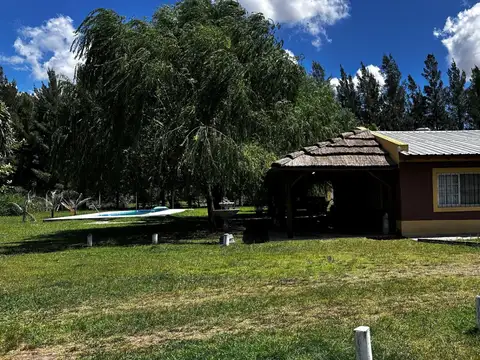 Avellaneda 100
