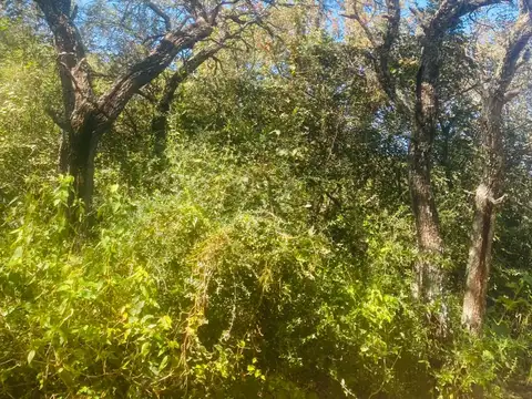 Terreno en venta en Las Chacras