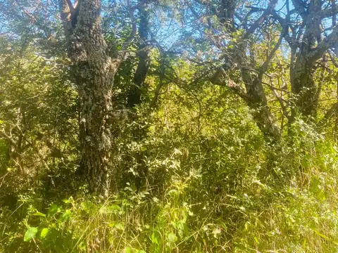 El Algarrobal , Las Chacras
