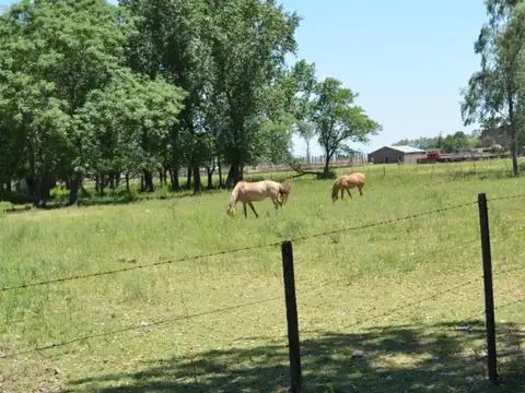 Avenida Roque Sáenz Peña y Antártida Argentina