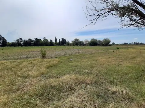Falcon A 200 Mt De Autopista