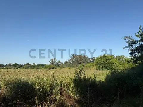 LOTE EN EXCELENTE UBICACION ARTURO SEGUI | CALLE 137 E/ 419 Y 422