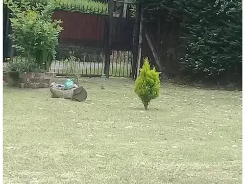 Taboada  100