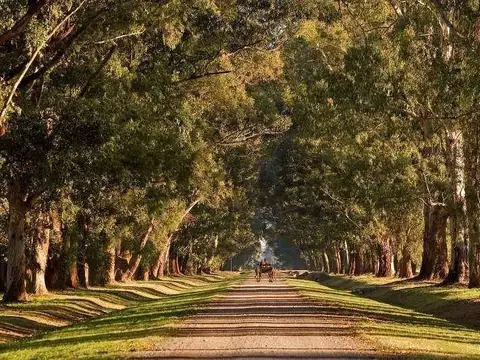 Terreno en Venta de 2942,0 m2