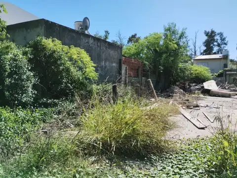 155 bis entre 42 y 43