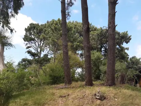 Terreno en Venta de 584,0 m2