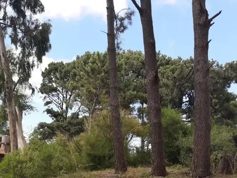 Terreno en Venta en Ostende, USD 60.000