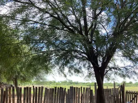 Campo a desarrollar en Icaño- Santiago del Estero