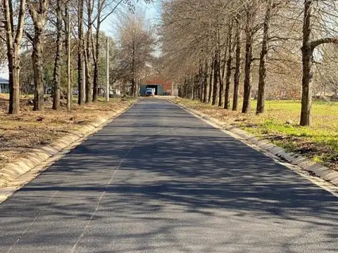 Barrio Parque Nueva Zelaya 100