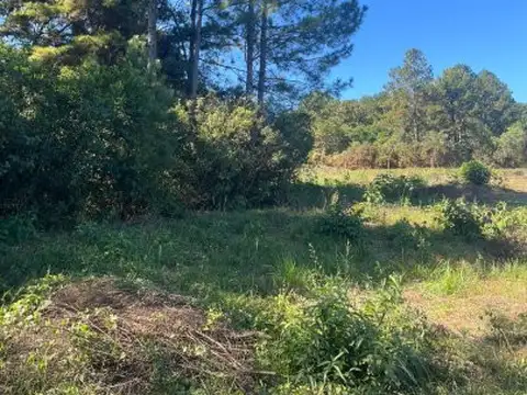 Venta hectáreas garupa misiones