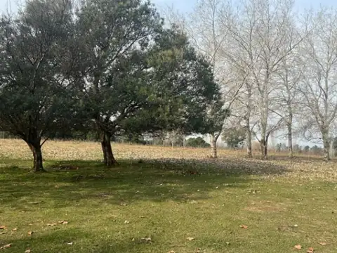 Quebrada De Cardales - Lote 100