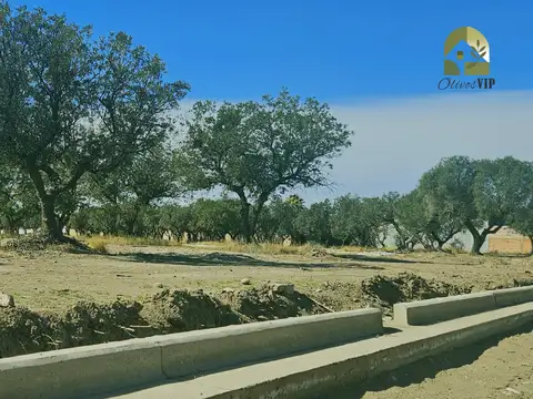 Terreno en Venta en San Rafael, USD 40.000