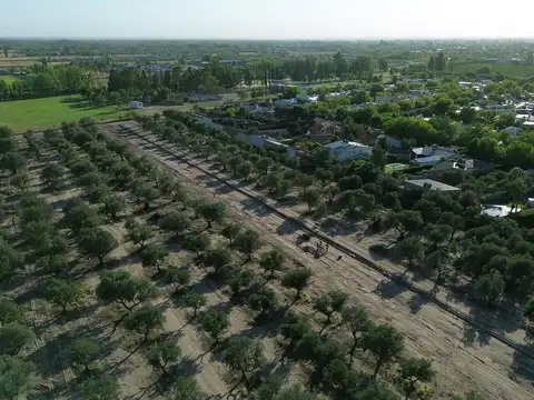 PROLONGACIÓN AVENIDA ALSINA Y CALLE DEL POZZI