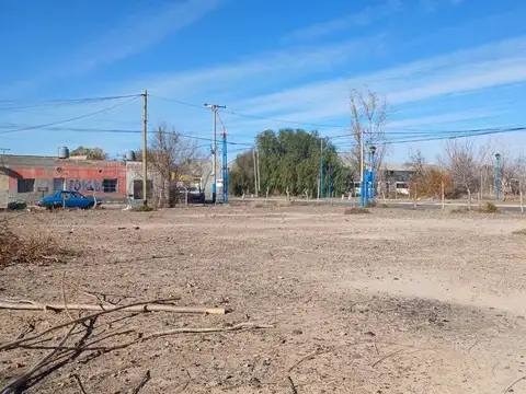 Adolfo Alsina Lote 22 Mza 791