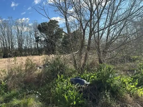Terreno en Venta de 6400,0 m2