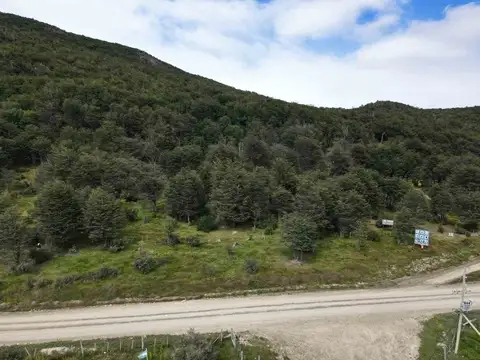 Hectárea Estratégica Ruta 3